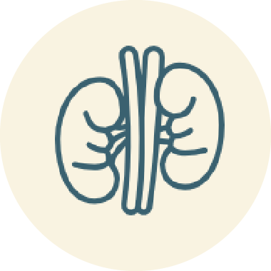 Κολικός Νεφρού – Νεφρολιθίαση 